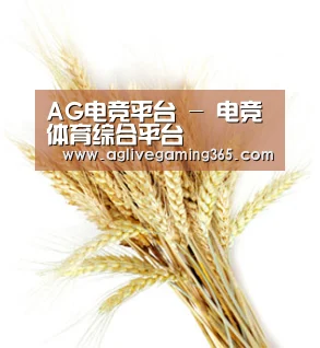 AG电竞平台 - 电竞体育综合平台