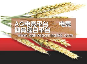 AG电竞平台 - 电竞体育综合平台