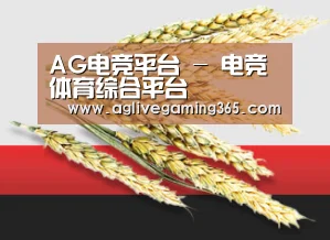 AG电竞平台 - 电竞体育综合平台