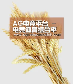 AG电竞平台 - 电竞体育综合平台